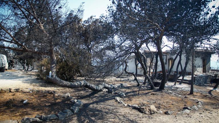 Ανατριχίλα στο οικόπεδο της Αποκάλυψης: Εδώ βρέθηκαν νεκροί οι 26 άνθρωποι (ΦΩΤΟ)