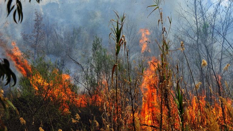 Υπό μερικό έλεγχο η φωτιά στην Κατοχή Μεσολογγίου, κοντά στον αρχαιολογικό χώρο των Οινιαδών