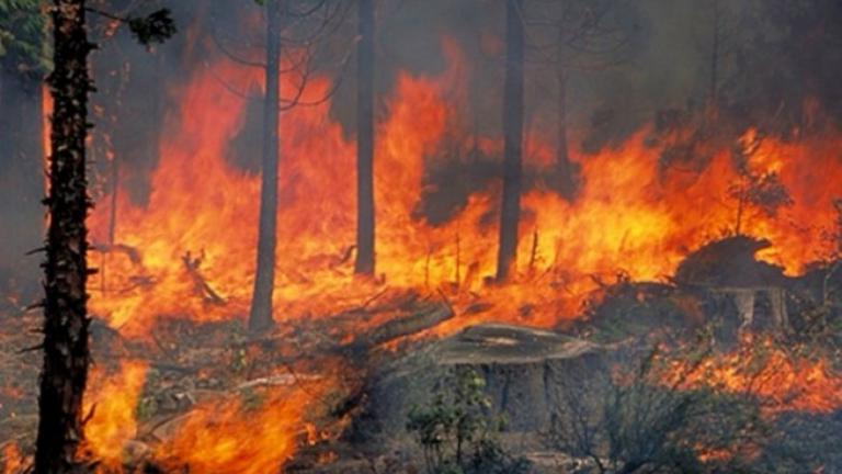 Σε κατάσταση έκτακτης ανάγκης κήρυξε η Περιφερειάρχης Αττικής Ρένα Δούρου τις περιφερειακές ενότητες Ανατολικής και Δυτικής Αττικής 