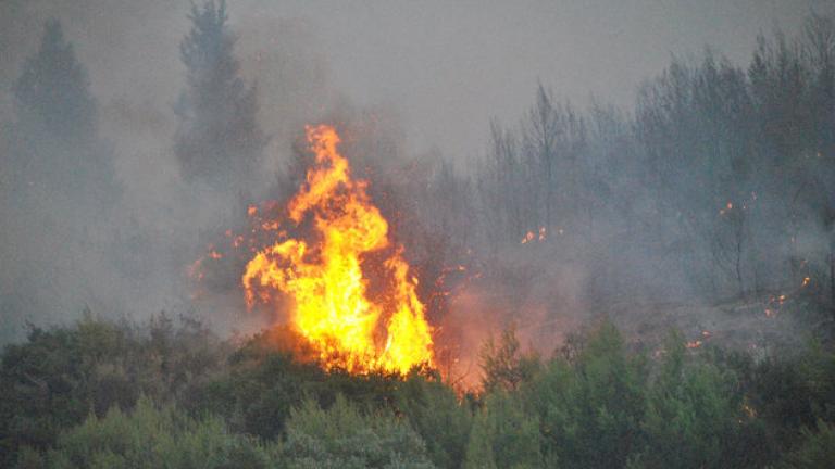 Ζάκυνθος: Υπό μερικό έλεγχο οι φωτιές στο Καλαμάκι και τη Λιθακιά