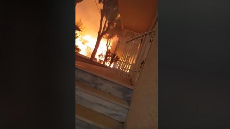 Πόσο έτρεχε η φωτιά στο Μάτι; Δείτε στο βίντεο που τράβηξε άνθρωπος που σώθηκε από ΘΑΥΜΑ!