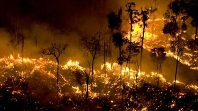 Καύσωνας στην Φινλανδία! Ανεξέλεγκτες φωτιές στην Σουηδία