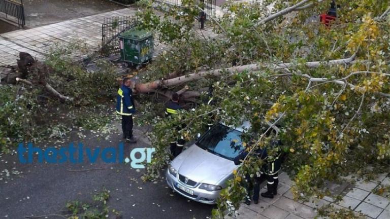 Θεσσαλονίκη: Καταρρακτώδης βροχή συνοδευόμενη και από χαλάζι, με ισχυρούς ανέμους παρέλυσαν το κέντρο (ΒΙΝΤΕΟ) 