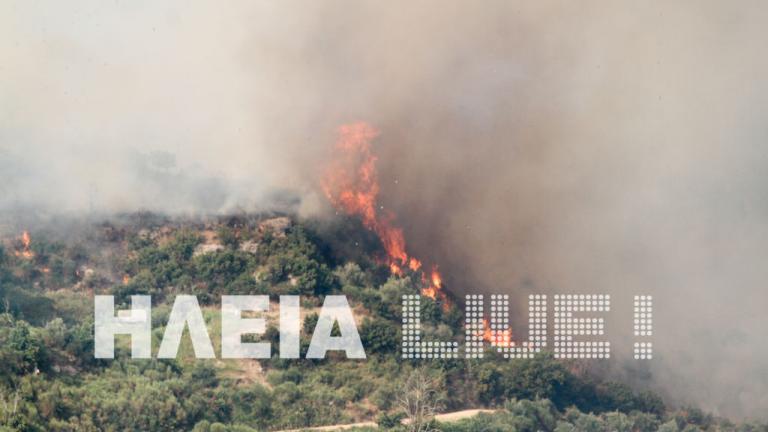Πυρκαγιά τώρα: Σε εξέλιξη βρίσκεται δασική πυρκαγιά στην Ηλεία-Έχει πάρει τεράστιες διαστάσεις