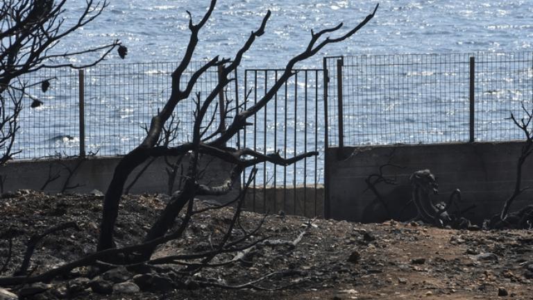 Δασική έκταση του Δημοσίου το οικόπεδο της φρίκης στο Μάτι 