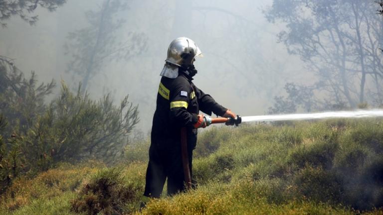 Υπό έλεγχο η πυρκαγιά στο Σεσι 