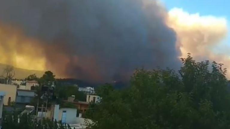 Μεγάλη φωτιά στην Εύβοια. Εκκενώθηκαν χωριά (ΒΙΝΤΕΟ)