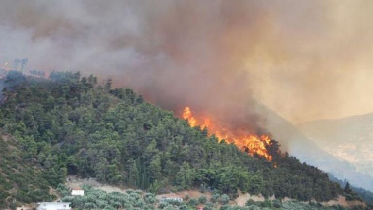 Υπό έλεγχο τέθηκε η φωτιά στα Κανάκια Σαλαμίνας