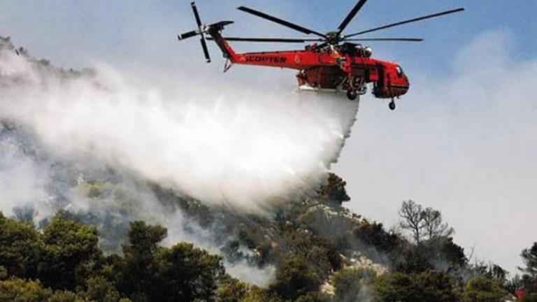 Φωτιά Ηλεία: Μεγάλη κινητοποίηση της Πυροσβεστικής για να περιορίσουν τις φλόγες