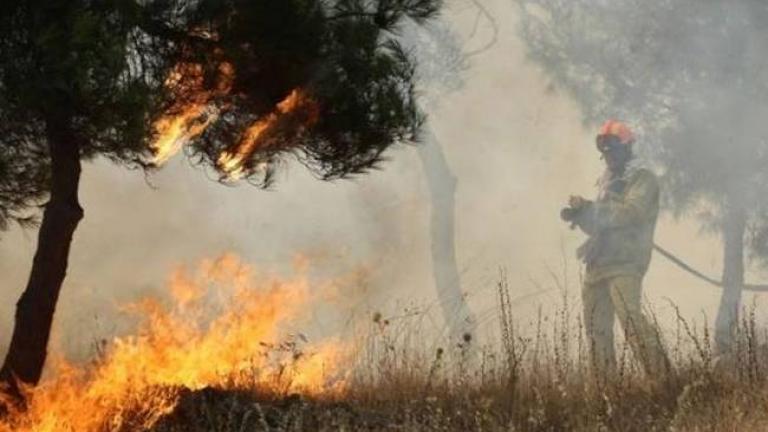 Φωτιά τώρα στην Ηλεία