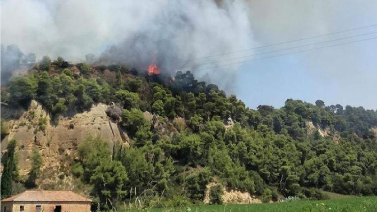  ΦΩΤΙΑ ΤΩΡΑ: Εκκενώνεται το χωριό Δαφνιώτισσα, στην Αμαλιάδα Ηλείας