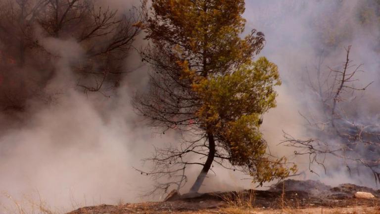 Σε εξέλιξη πυρκαγιά στη Νέα Μάκρη 