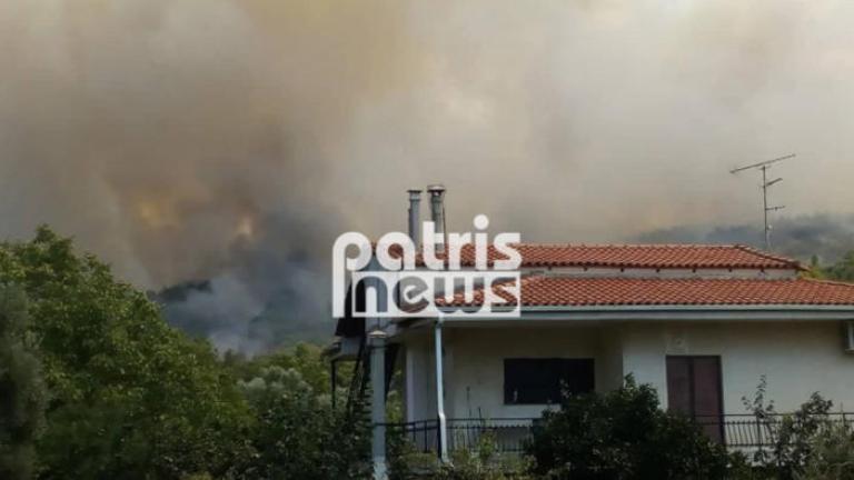 Αμαλιάδα: Σε ύφεση η πυρκαγιά στην Δαφνιώτισσα - Υπό πλήρη έλεγχο η φωτιά στην Ανάληψη 
