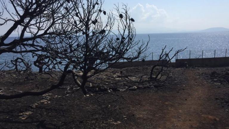 Οι παρανομίες στο οικόπεδο της φρίκης με τους 27 νεκρούς 