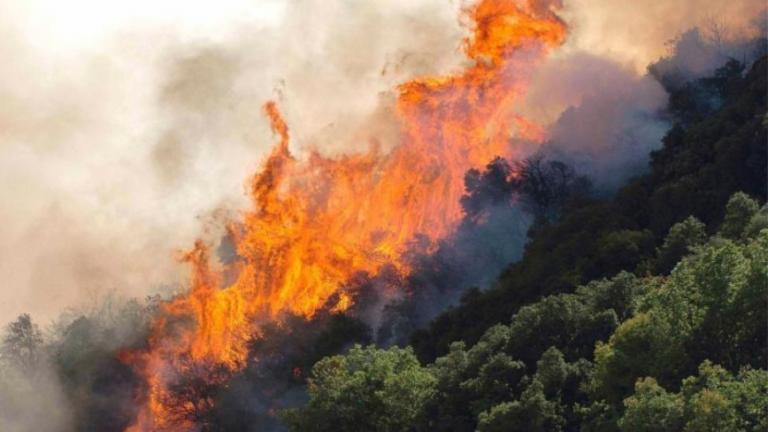 Πολύ υψηλός κίνδυνος πυρκαγιάς (κατηγορία κινδύνου 4) προβλέπεται και το Σάββατο (11/8)