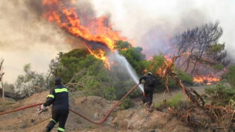 Νέα φωτιά στην πολύπαθη Εύβοια – Ισχυροί άνεμοι πνέουν στην περιοχή