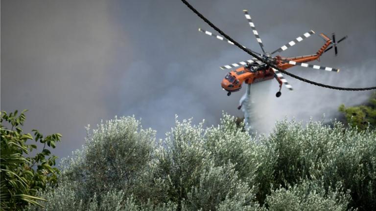 Προφυλακίστηκαν οι δυο Έλληνες για τις φωτιές στην Ηλεία