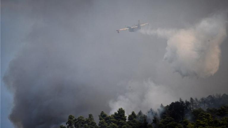 Περίεργη πυρκαγιά στην Ηλεία-Τι προβληματίζει την Πυροσβεστική (ΒΙΝΤΕΟ-ΦΩΤΟ)