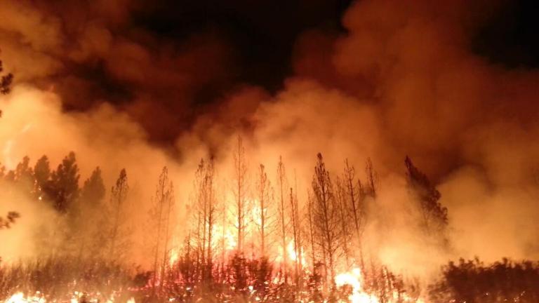 Η «Κόλαση» στις πυρκαγιές της Καλιφόρνια-Τρομακτικό βίντεο