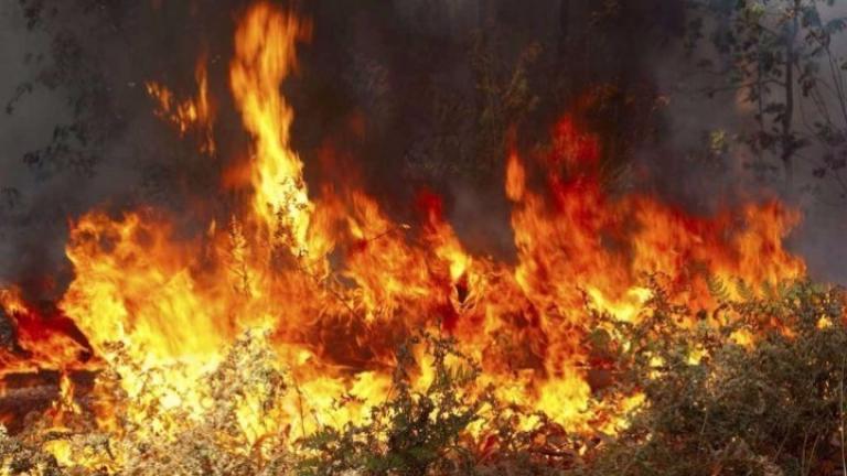Η Σαλαμίνα στις φλόγες-Καίγονται τα Κανάκια