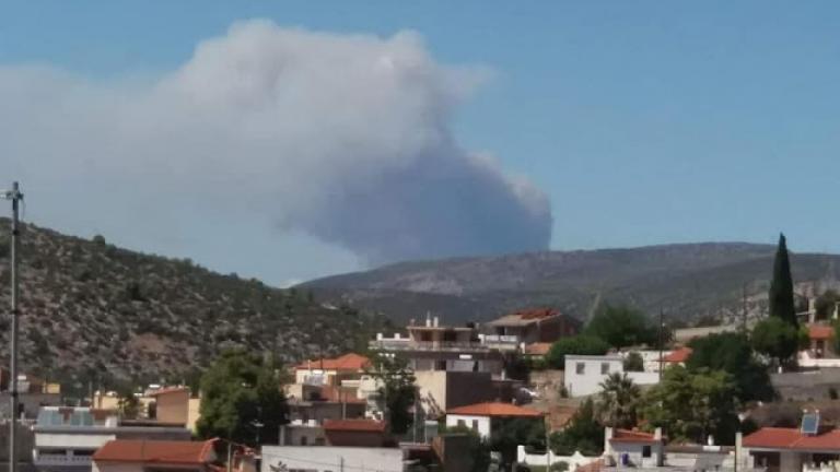 Δεν υπάρχουν πλέον ενεργά μέτωπα φωτιάς στην περιοχή των Ψαχνών (ΒΙΝΤΕΟ-ΦΩΤΟ)