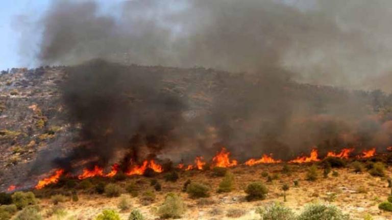 Κατασβέστηκε η πυρκαγιά που ξέσπασε στη Γαλάζια Ακτή Μαραθώνα