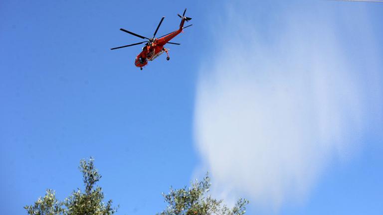 Πυρκαγιά σε δασική έκταση δίπλα στη λίμνη Μαραθώνα