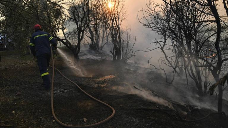 Σε ύφεση η πυρκαγιά στις Ροβιές Ευβοίας 