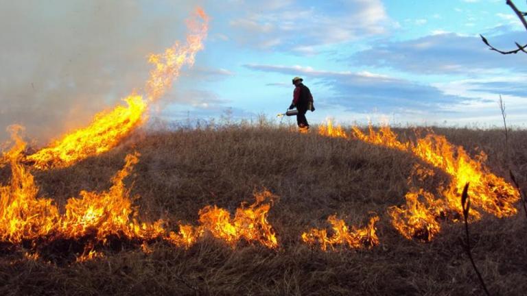 Συνελήφθη 44χρονος για εμπρησμούς στην Αρχαίο Ολυμπία 