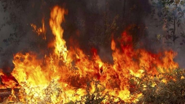 Δύο πυροσβέστες τραυματίες σε φωτιά στη Λακωνία 