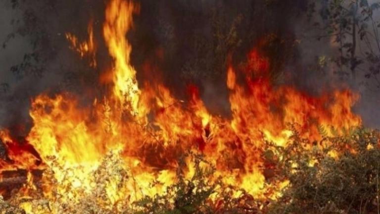 Δεν κινδυνεύει οικισμός στην Ηλεία -  Η πυρκαγιά έχει οριοθετηθεί