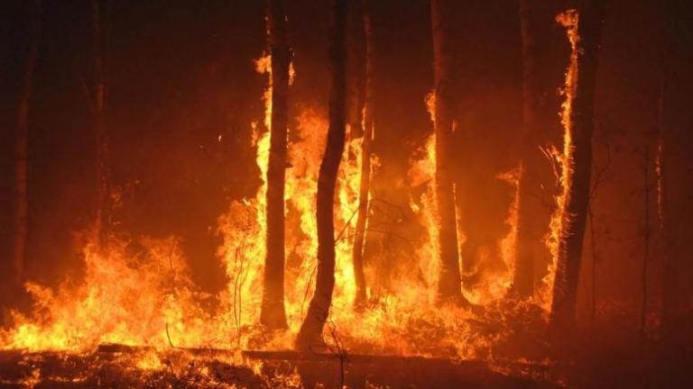 Σπάρτη: Ολονύχτια μάχη με τις φλόγες στην περιοχή Κελεφά Λακωνίας