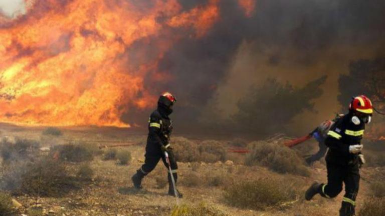 Μεγάλη φωτιά στη Μάνη - Πνέουν ισχυροί άνεμοι