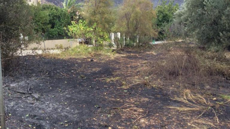 Κεφαλονιά: Υπό μερικό έλεγχο τα πύρινα μέτωπα - Στις αυλές των σπιτιών έφτασαν οι φλόγες