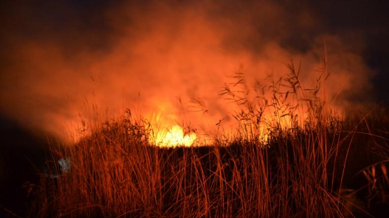 Τώρα: Πυρκαγιά στην Βάρκιζα στο ύψος του Ribas