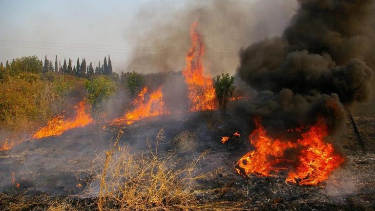  Υπό μερικό έλεγχο η φωτιά στην περιοχή Καπελέτο της Ηλείας