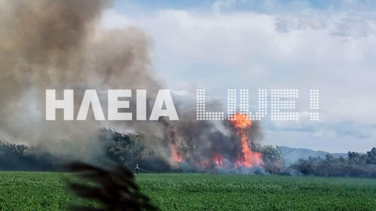 Πύργος: Φωτιά στην περιοχή Σπιάτζα - Προσπάθεια να κρατηθούν οι φλόγες μακριά από τα πρώτα σπίτια 