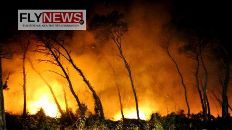 Πυρκαγιά τώρα: Μεγάλη πυρκαγιά ανάμεσα στις περιοχές Κότρωνα και Αρεόπολη κοντά στον οικισμό Κάβαλο στη Μάνη