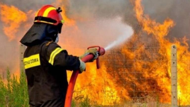 Θεσσαλονίκη: Υπό έλεγχο οι φωτιές σε Μουδανιά και Σίνδο	