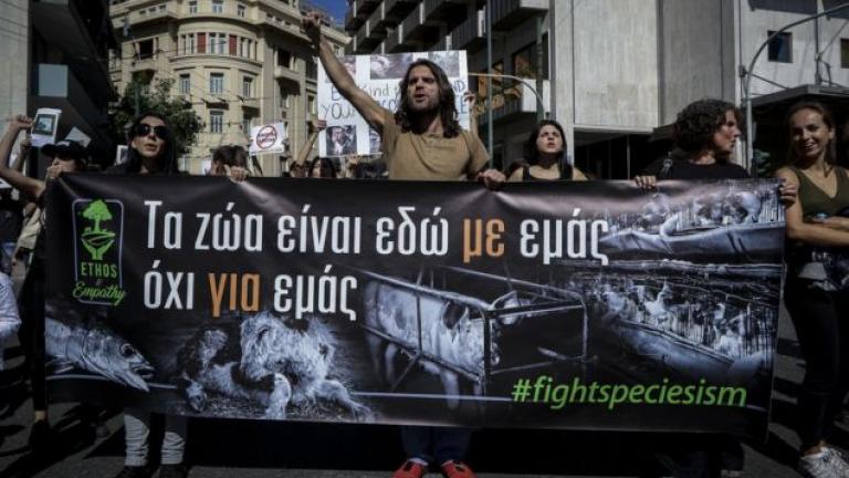 6 Οκτωβρίου - Παγκόσμια Ημέρα των Ζώων - Πορεία στην Αθήνα: «Τα ζώα δεν είμαστε σκλάβοι σας» (ΦΩΤΟ)