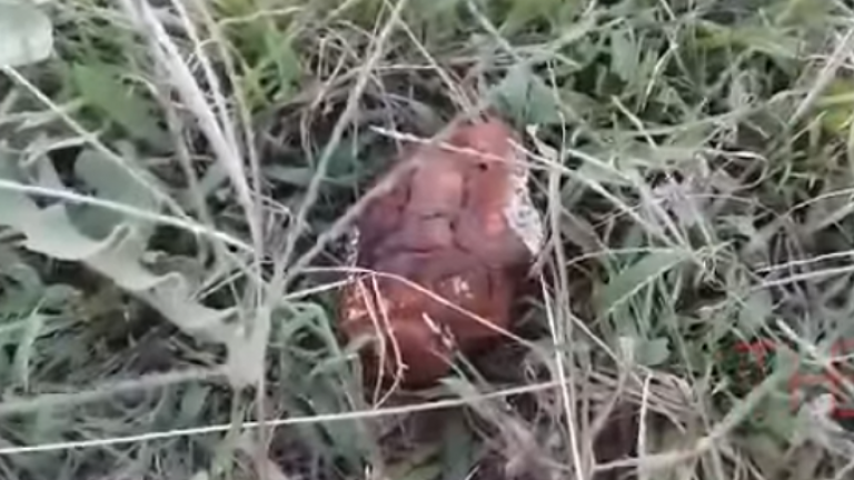 Σοκ για την μητέρα που είδε το μωρό της να παίζει με χειροβομβίδα (ΒΙΝΤΕΟ)