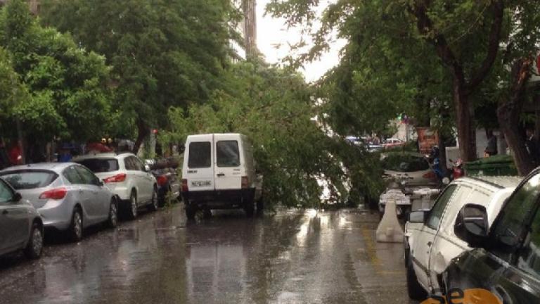 Θεσσαλονίκη: Πτώσεις δέντρων από τους ισχυρούς ανέμους