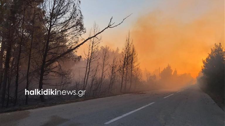  Σε εξέλιξη φωτιά σε δασική περιοχή στη Σιθωνία Χαλκιδικής 