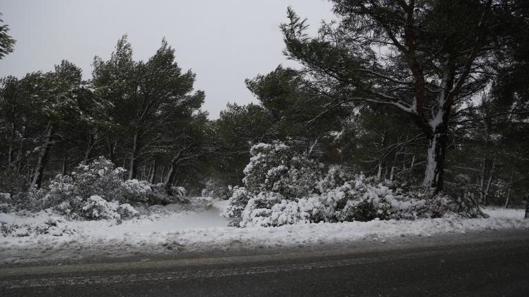 Καιρός: Ο Νοέμβριος μας αποχαιρετά με μια γερή γεύση από χειμώνα, εξαιτίας της κακοκαιρίας με το όνομα "Πηνελόπη"-Χιόνισε σε όλα σχεδόν τα ορεινά-Αναλυτική πρόγνωση (ΒΙΝΤΕΟ)