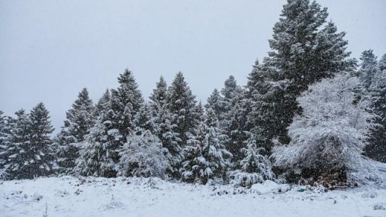 Ο καιρός για το Σαββατοκύριακο (17-18/11/2018) με κρύο, βροχές και χιόνια