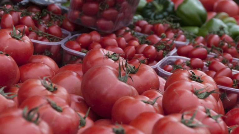Πειραιάς: Κατασχέθηκαν 441 κιλά ακατάλληλες ντομάτες Αλβανίας