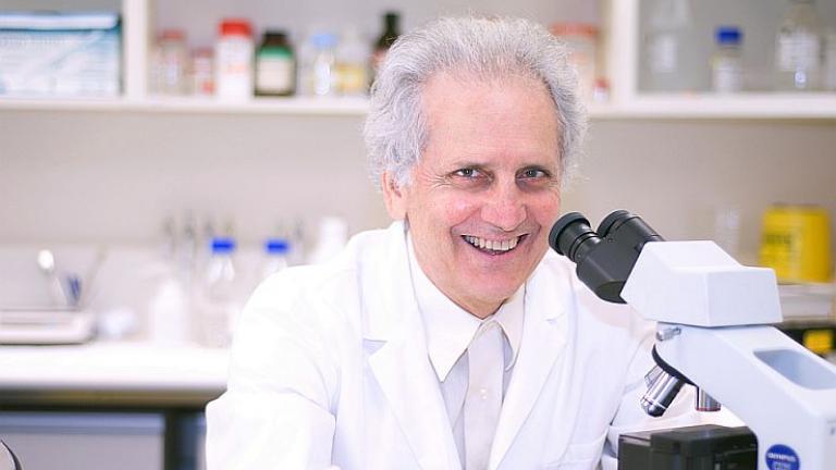 Σημαντική ανακάλυψη Έλληνα επιστήμονα: Εντόπισε άγνωστη περιοχή στον ανθρώπινο εγκέφαλο