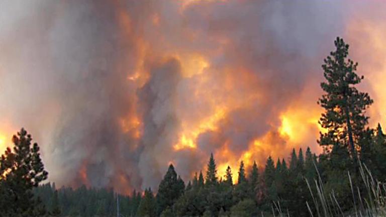 Κατασβέστηκε η μεγάλη πυρκαγιά που ξέσπασε στο πεδίο βολής Καμμένου Δάσους Λέσβου