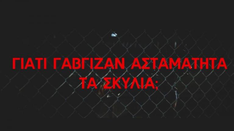 Φως στο τούνελ: Το σπίτι «μιλάει» για τη νύχτα του μυστηρίου