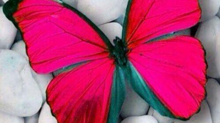 Αν σήμερα Πέμπτη 6 Δεκεμβριου 2018 έχετε γενέθλια